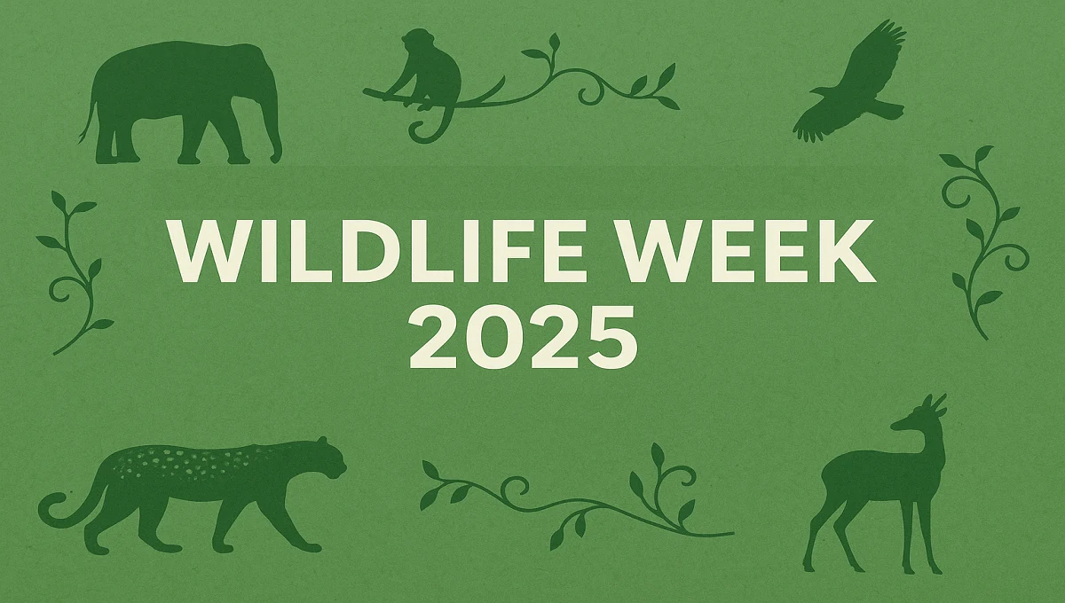 Wildlife Week 2025