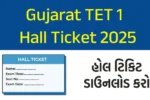 Gujarat TET 1 Hall Ticket 2025