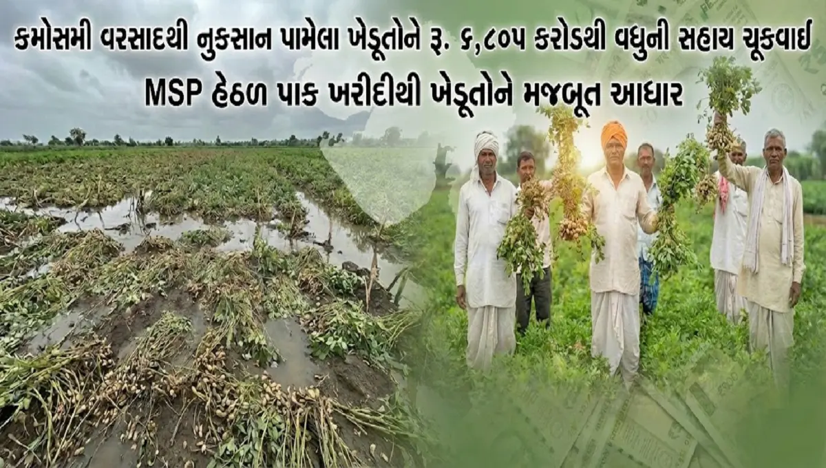 કમોસમી વરસાદ સહાય